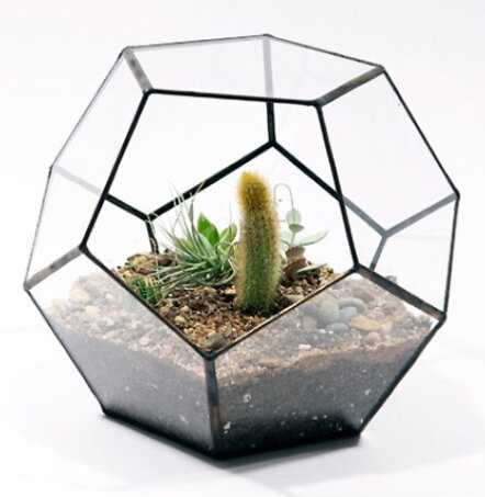 Как выбрать подходящий контейнер для террариума