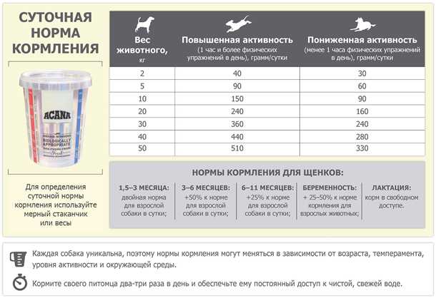 Как составить правильный план кормления для собак: советы ветеринаров Как составить правильный план кормления для собак: советы ветеринаров