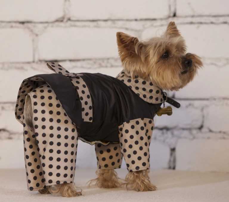 Плащи и куртки