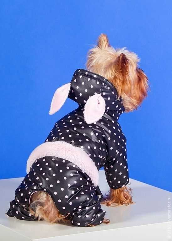 Размер и форма