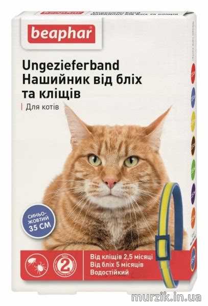Как выбрать эффективный ошейник от блох для кошек: советы и рекомендации Как выбрать эффективный ошейник от блох для кошек: советы и рекомендации