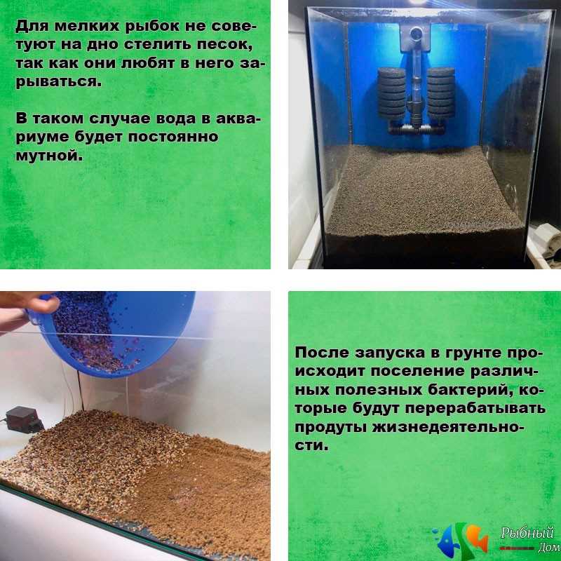 Как подготовить грунт перед использованием?