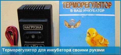 Какие ошибки могут возникнуть в процессе настройки и как их исправить