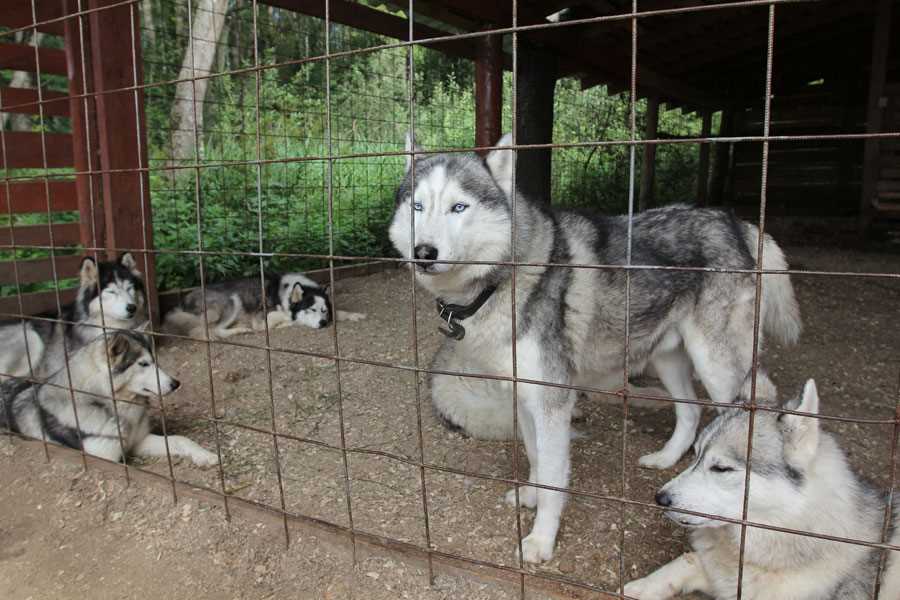 Купание и чистка вольера