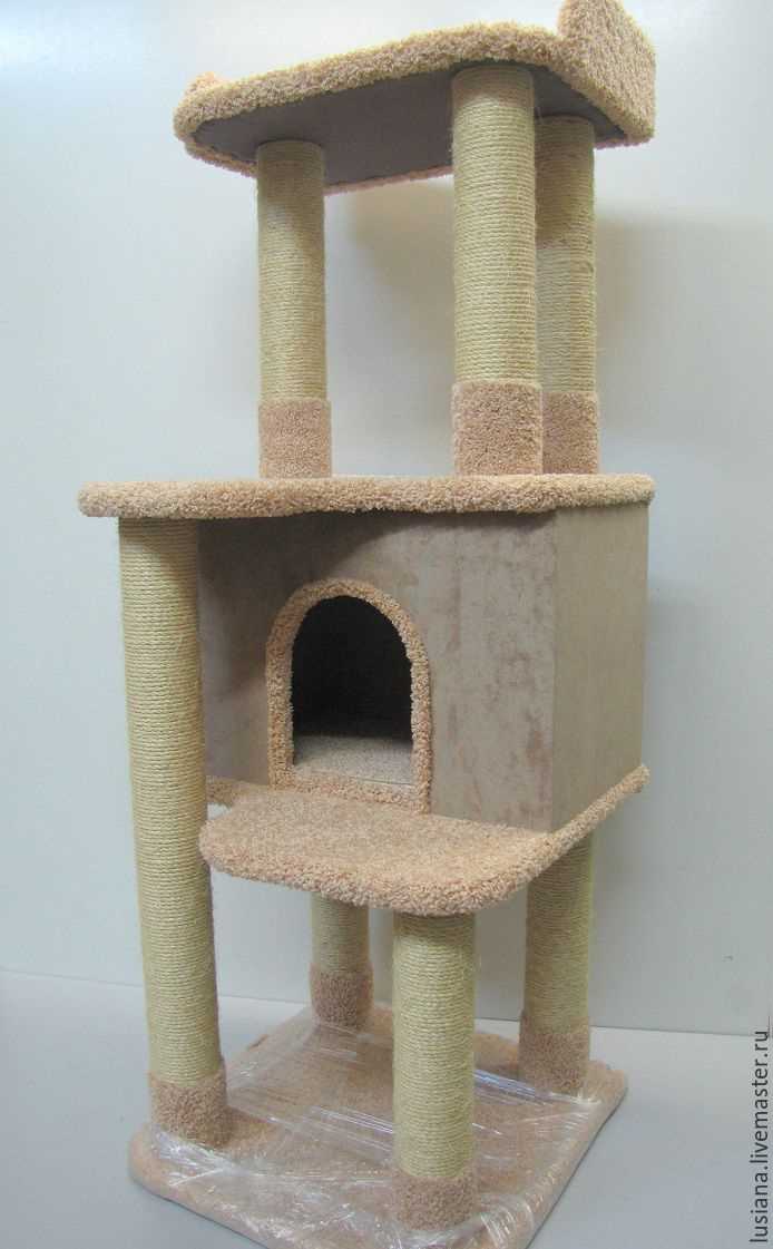 Шаг 1: Изучите потребности своей кошки