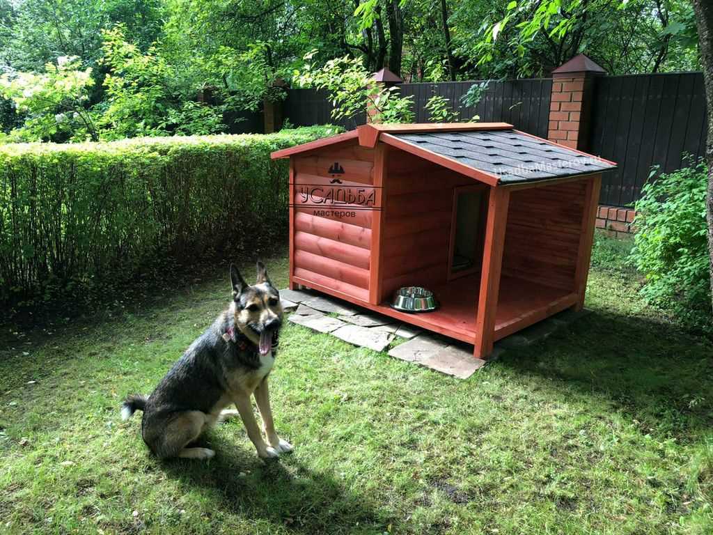 Как выбрать идеальную будку для овчарки: советы по выбору и уходу