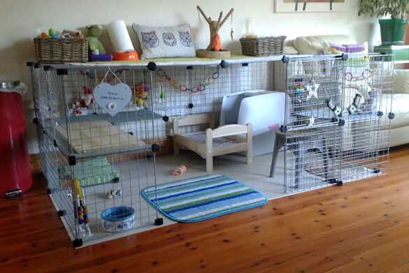 Как выбрать правильную клетку для кролика: рекомендации по уходу