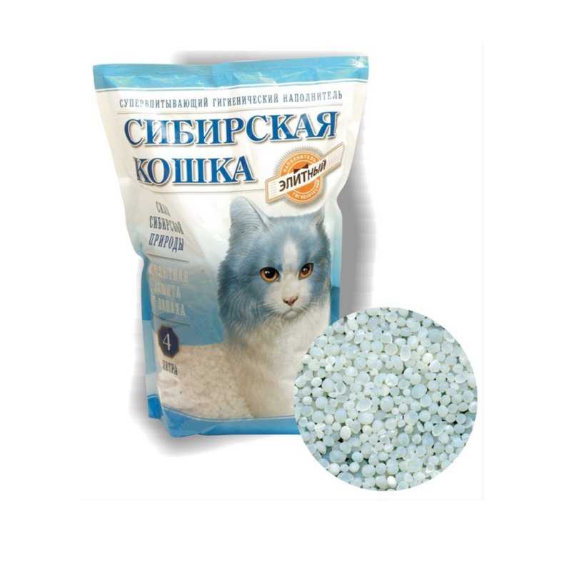 Влияние на здоровье кота