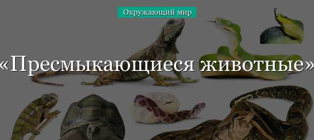 Какую роль играют ящерицы в экосистеме?