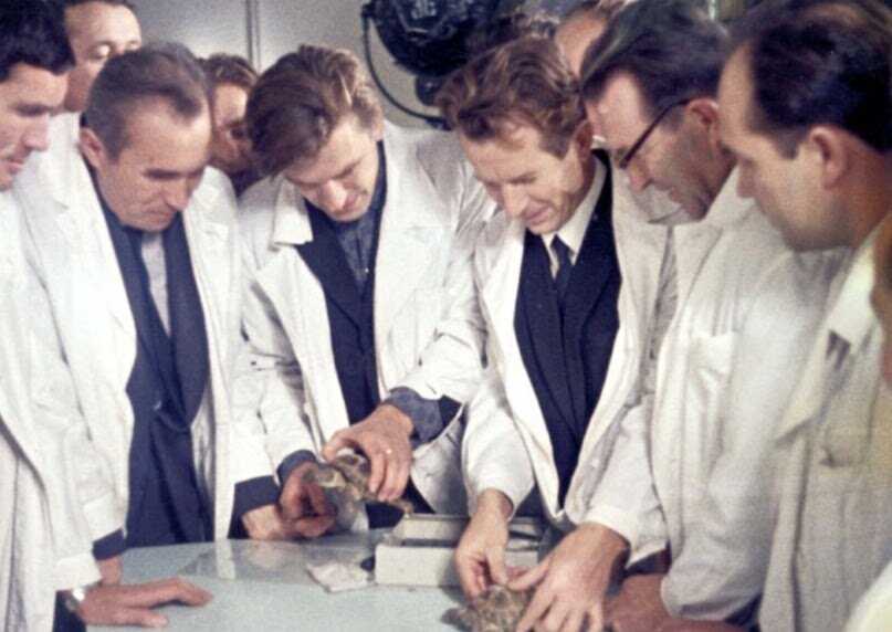 Какие животные первыми облетели вокруг луны Какие животные первыми облетели вокруг луны