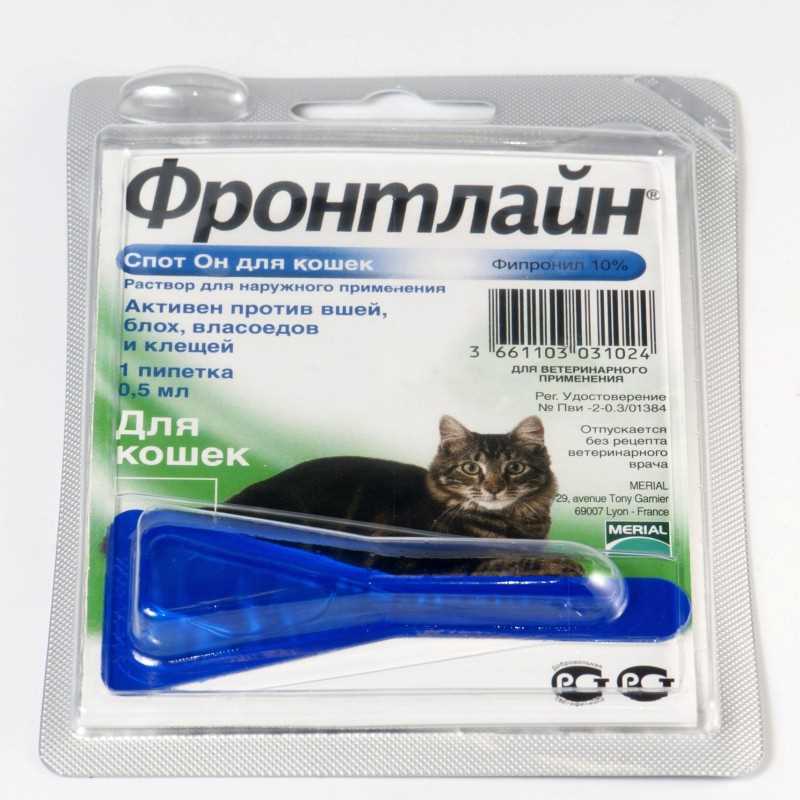 От блох для котят