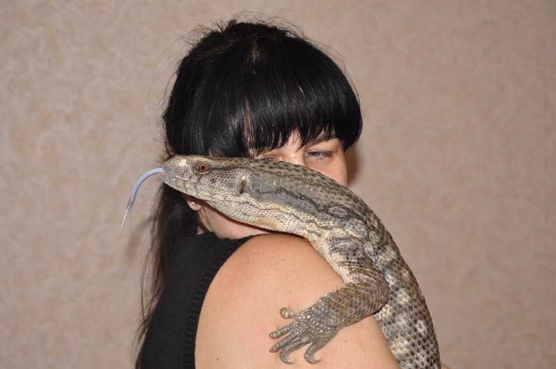 Чем кормить варана