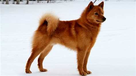 Физические нагрузки и прогулки