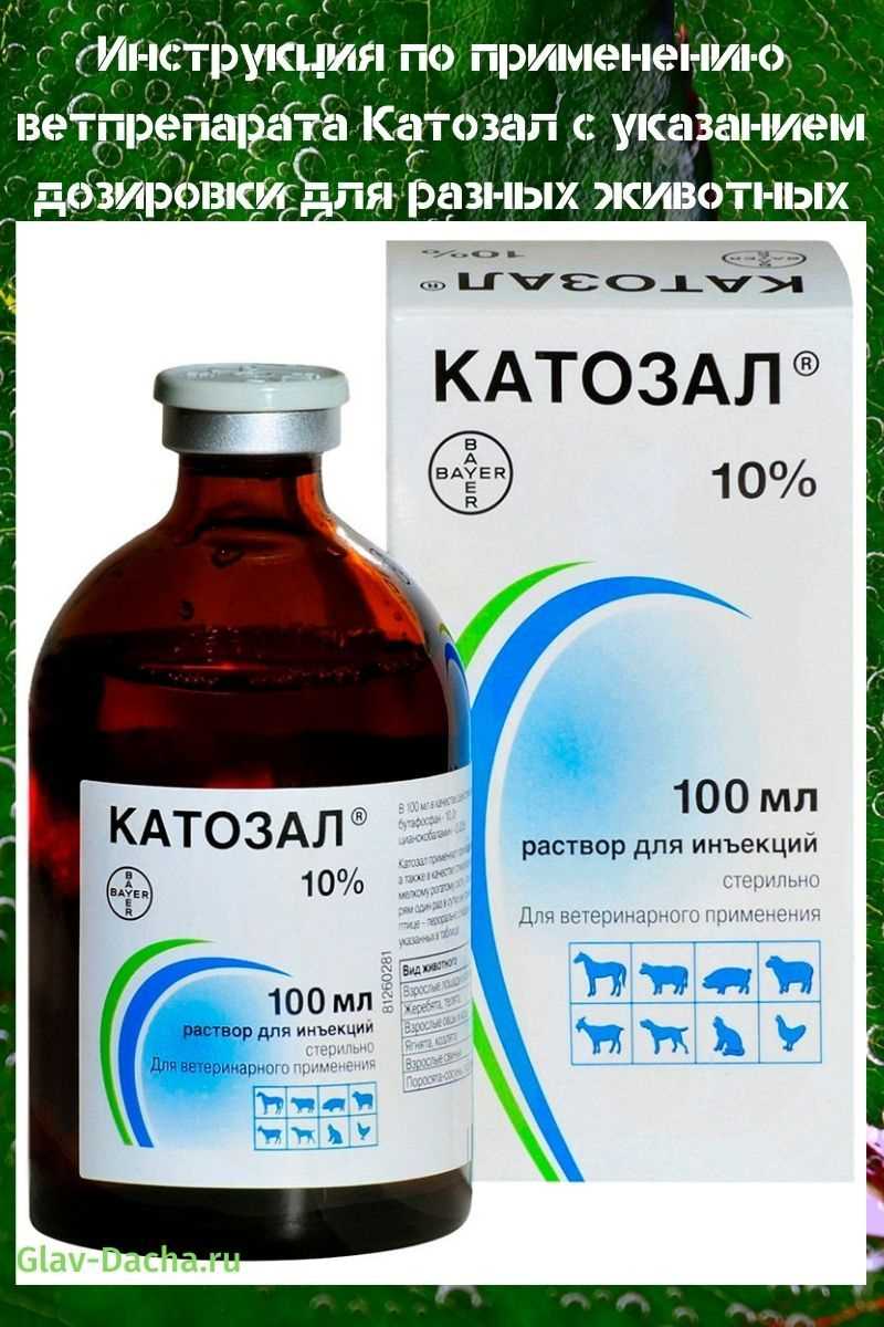 Показания к применению