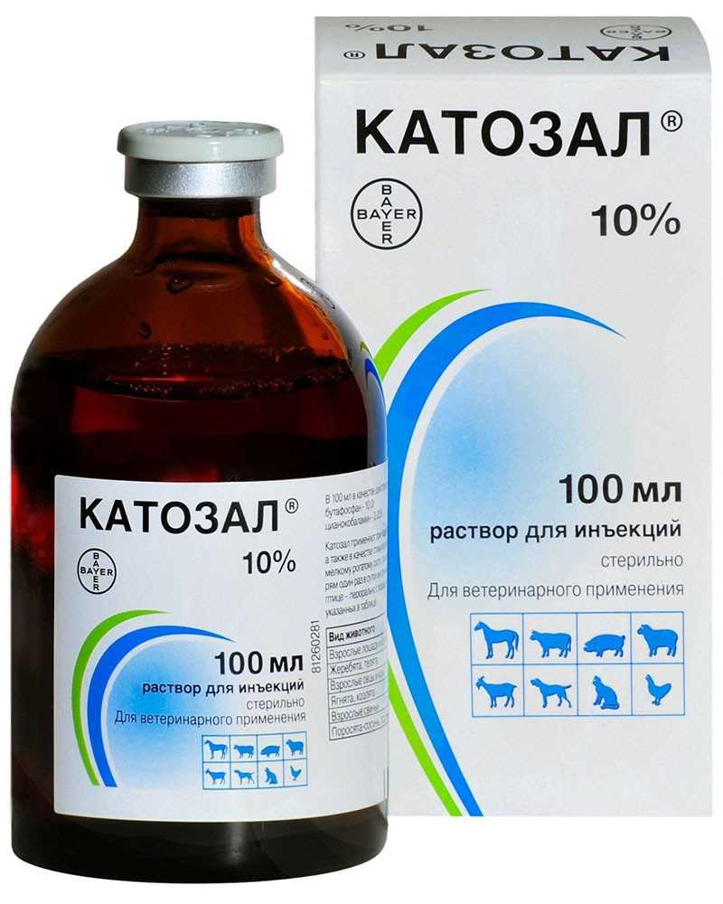 Катозал инструкция по применению для животных: как правильно применять, дозировка и показания Катозал инструкция по применению для животных: как правильно применять, дозировка и показания