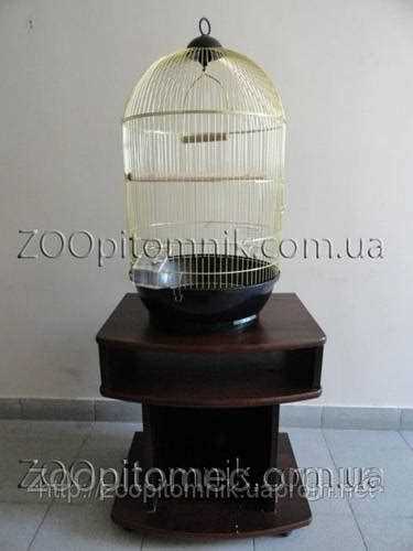 Адаптация новой канарейки в доме