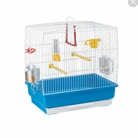 Клетка для канареек: как выбрать и обустроить дом для птицы-певца Клетка для канареек: как выбрать и обустроить дом для птицы-певца