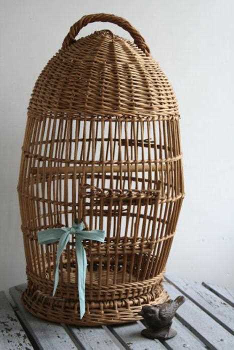 Здоровье и профилактика болезней