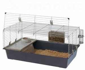 Какие аксессуары полезны для кролика и его здоровья