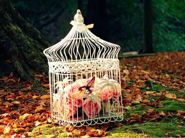 Клетки для птиц: как выбрать лучшую модель для вашего питомца Клетки для птиц: как выбрать лучшую модель для вашего питомца