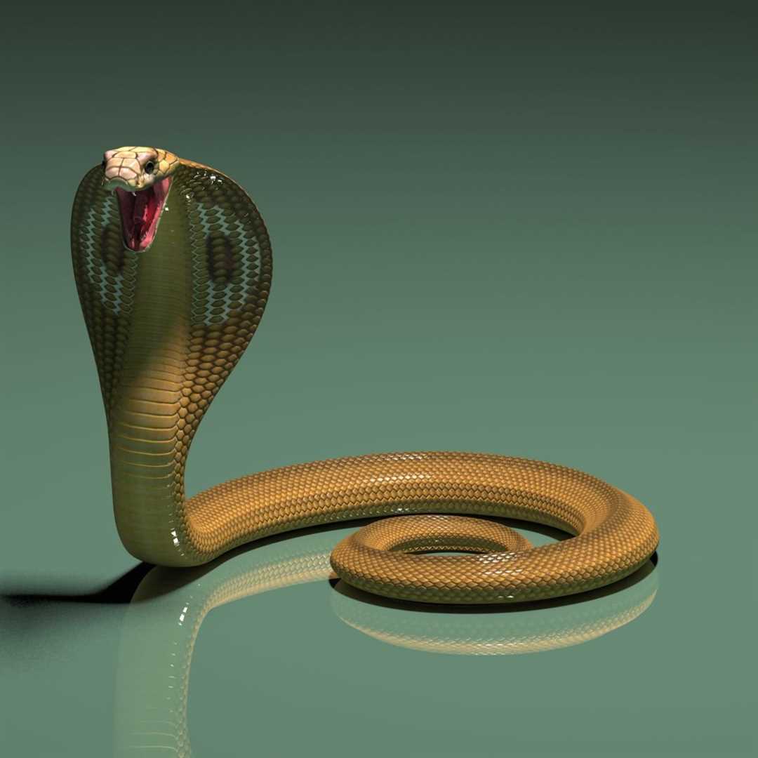 Ядовитость кобры: