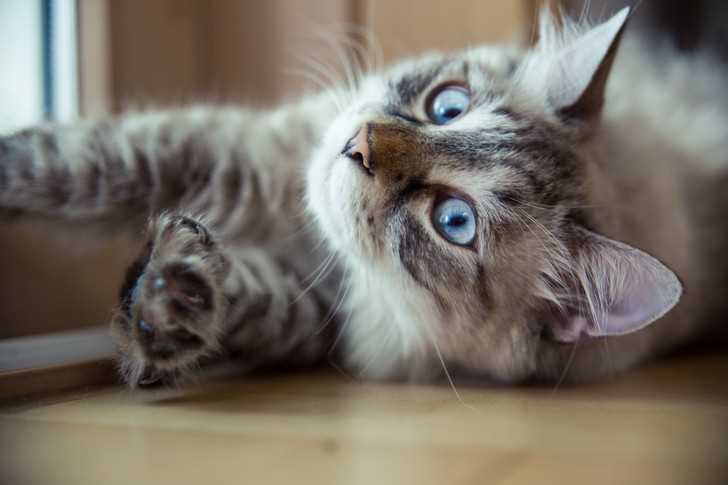 Почему поздняя стерилизация может иметь негативные последствия