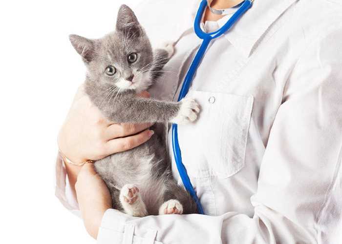 Общие осложнения после операции