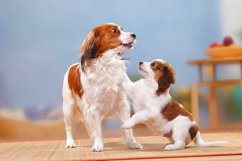 Осторожность на прогулках