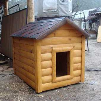 Конура для собаки: как выбрать оптимальный вариант