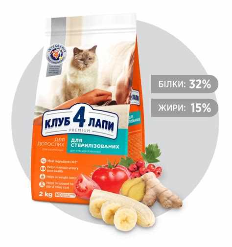 Корм для кошек премиум класса: список лучших брендов и рекомендации по выбору | Название сайта Корм для кошек премиум класса: список лучших брендов и рекомендации по выбору | Название сайта