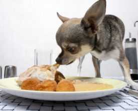 Контроль веса и пищевых привычек