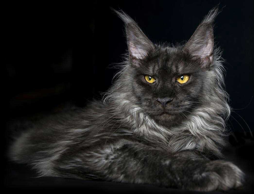 Особенности ухода в зависимости от возраста