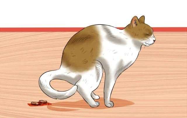 Потеря аппетита