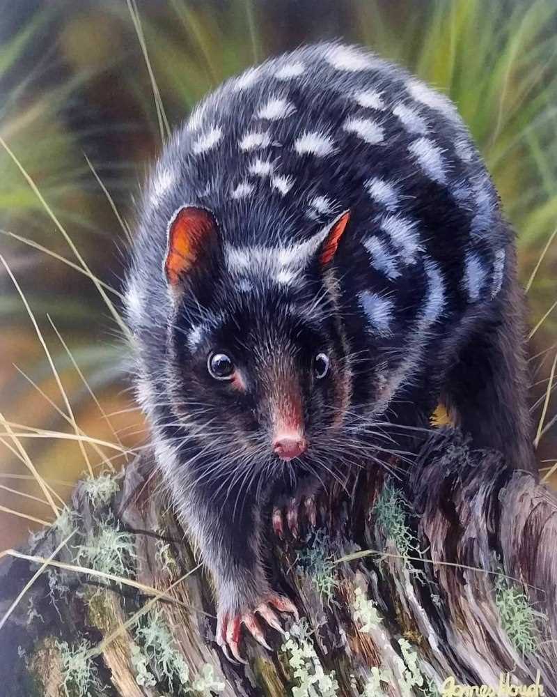 Рацион питания