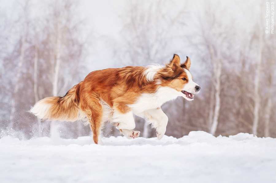 Частые проблемы здоровья и их профилактика