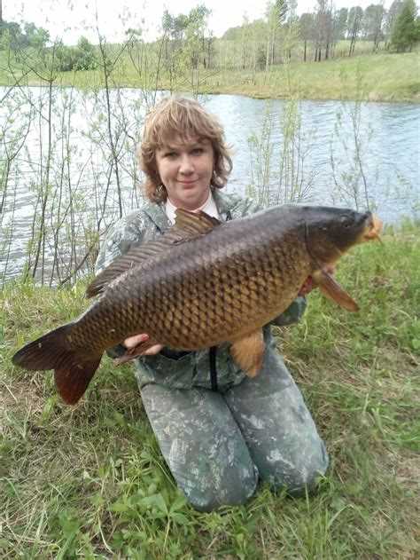 Красивые фото сазана - самая популярная пресноводная рыба России Красивые фото сазана - самая популярная пресноводная рыба России