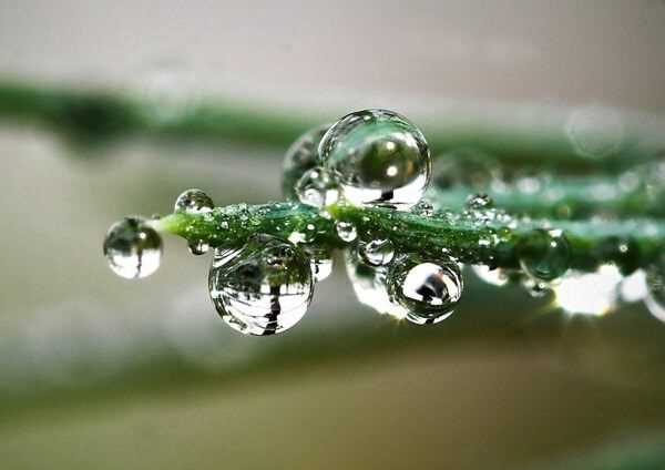 Удивительное подводное искусство