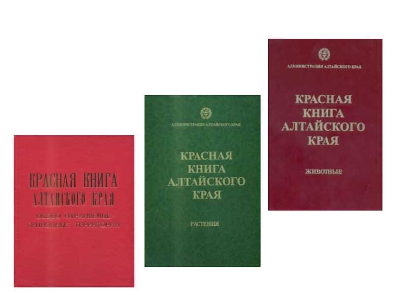 Особенности животного мира в горном Алтае