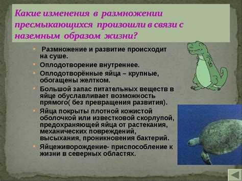 Что такое крокодил?