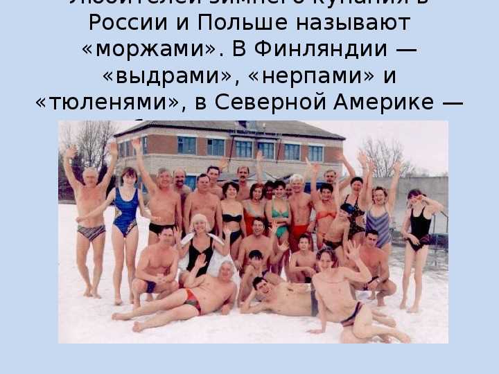 Где живут моржи: природная среда и места обитания