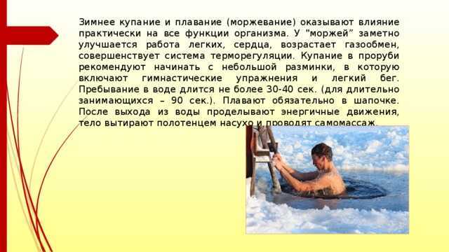  Сообщение о морже: интересные факты и последние исследования 