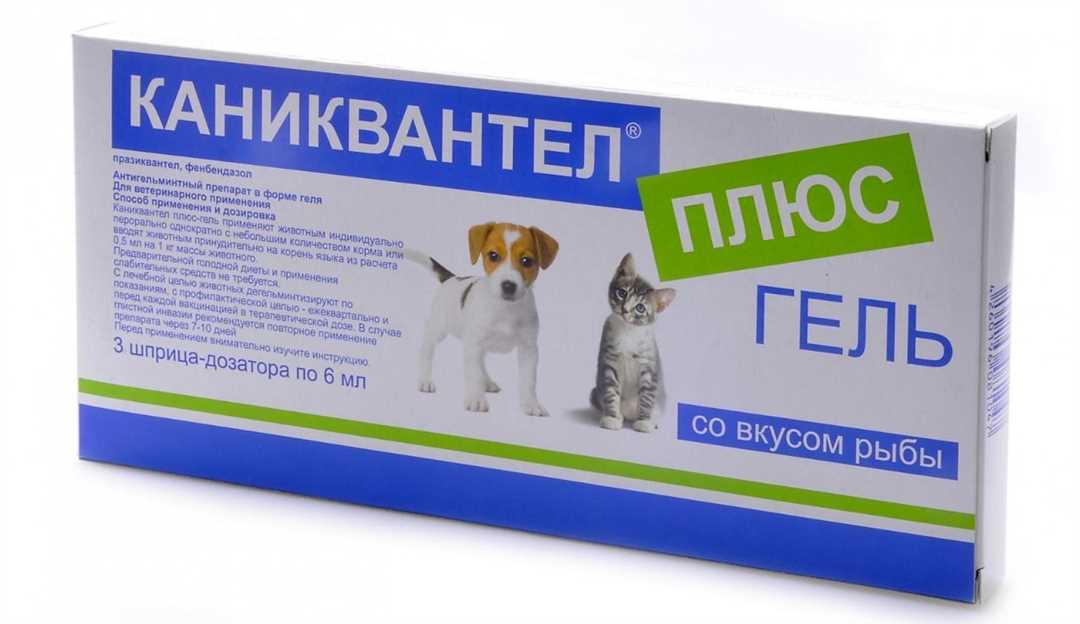 Контроль веса для здоровья питомца