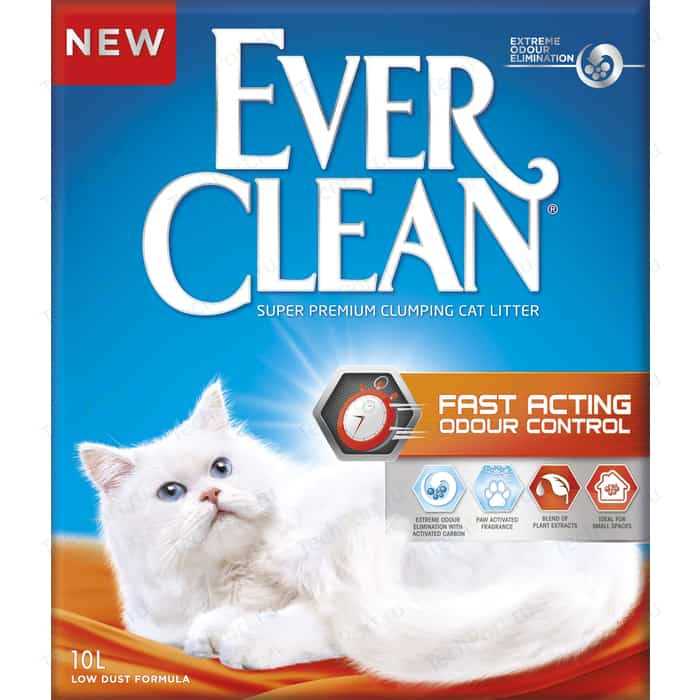 Купить кантарен для кошек: полезный инструмент для контроля веса вашего питомца Купить кантарен для кошек: полезный инструмент для контроля веса вашего питомца