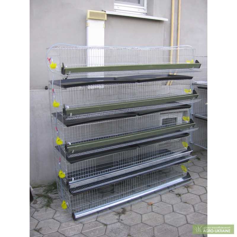 Ориентируемся на цену и бренд