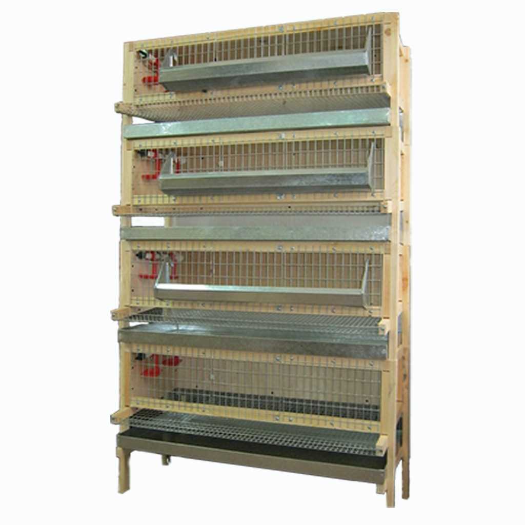 Рацион и кормление