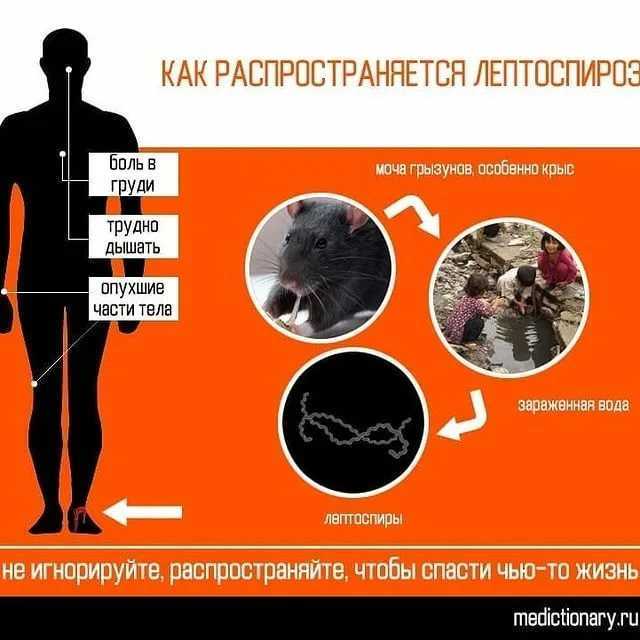 Антибиотическая терапия