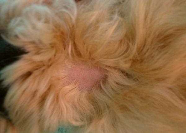 Другие проявления