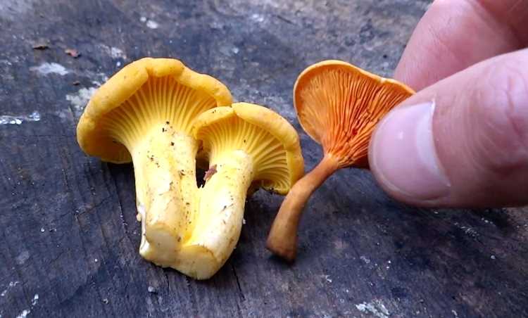 Характеристики