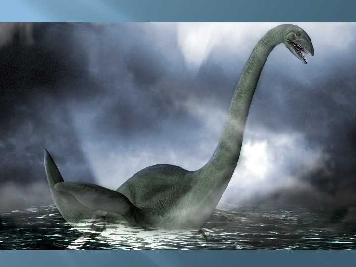 Редкие фото и видео снятия