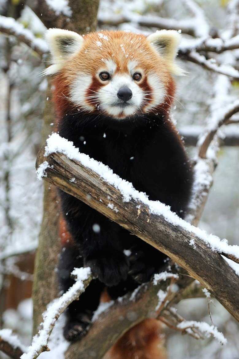 Находка для ученых